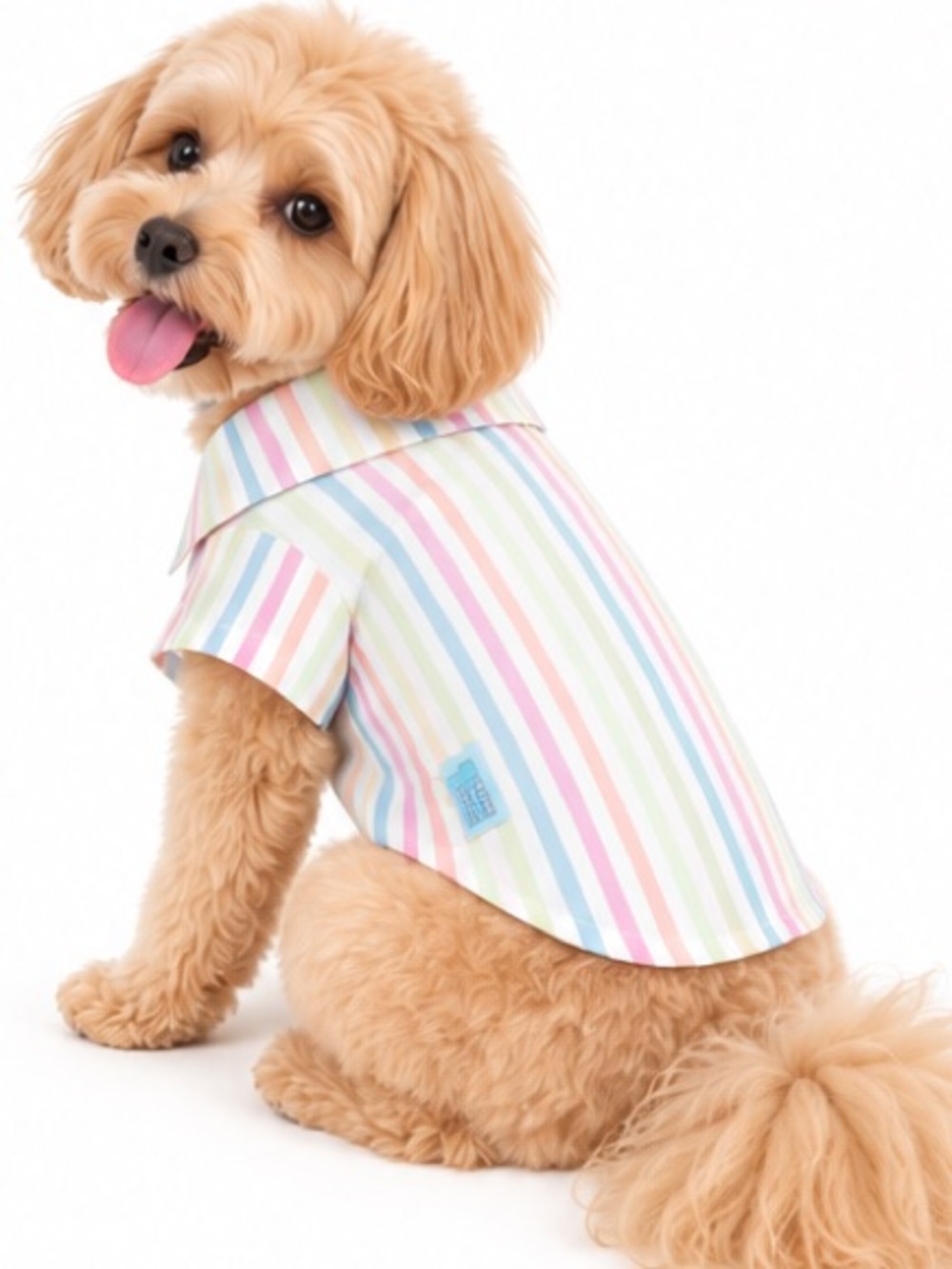 NEW - Le Pup Dog Shirt Medium Pastel Stripe LoveShackFancy Inspired Pet Outfit